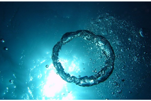 11. How To Make Bubble Rings While Diving1