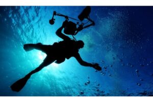 7. 13 Different Types of Diving Explained1