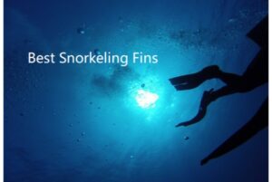 11. Snorkeling Fin