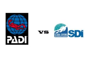 12. SDI vs PADI1