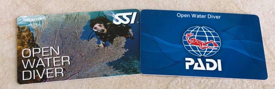 PADI vs SSI Certification for Scuba Diving - Differences & How to Choose